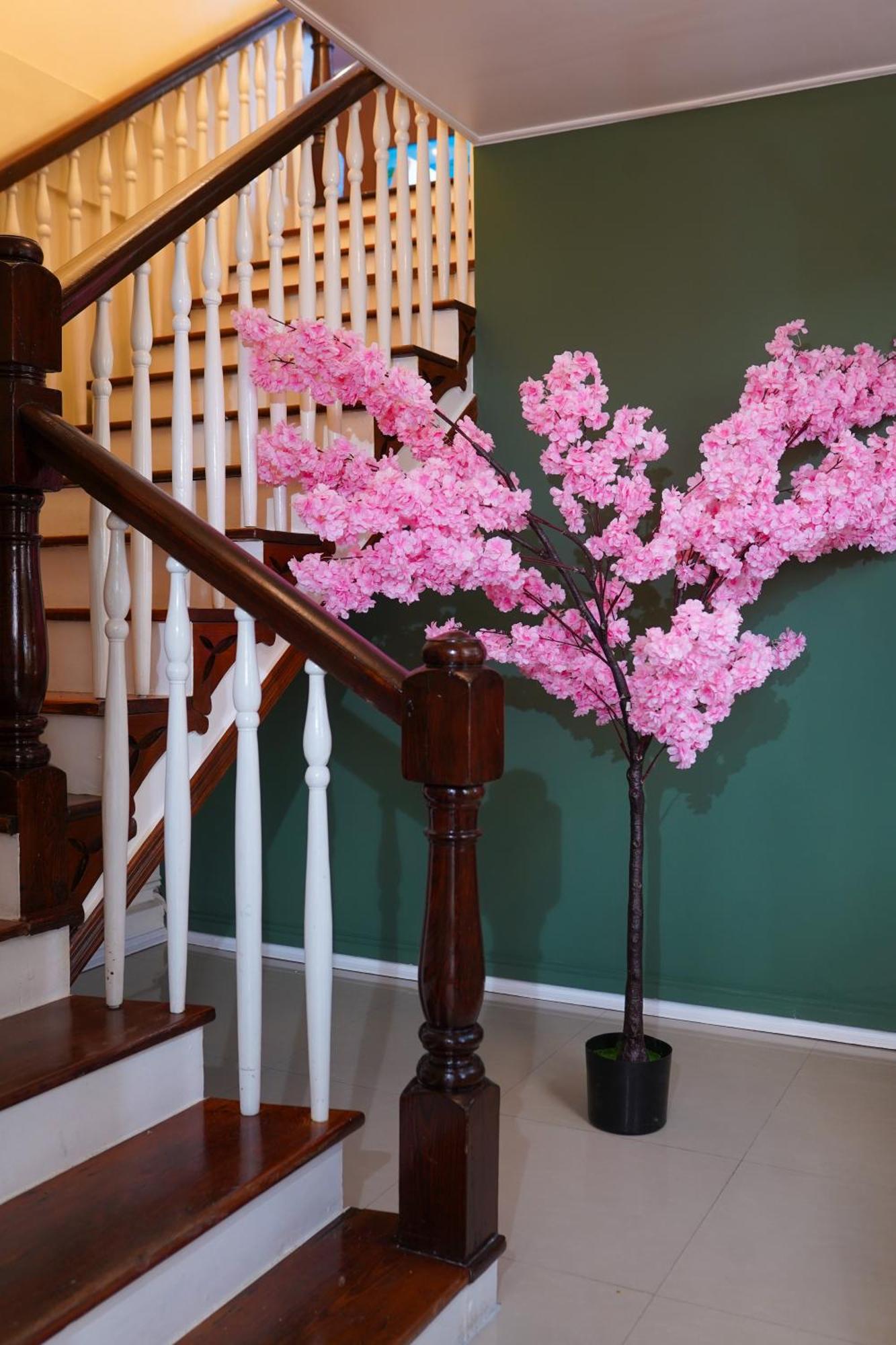Parc Rayne Hotel Georgetown Bagian luar foto